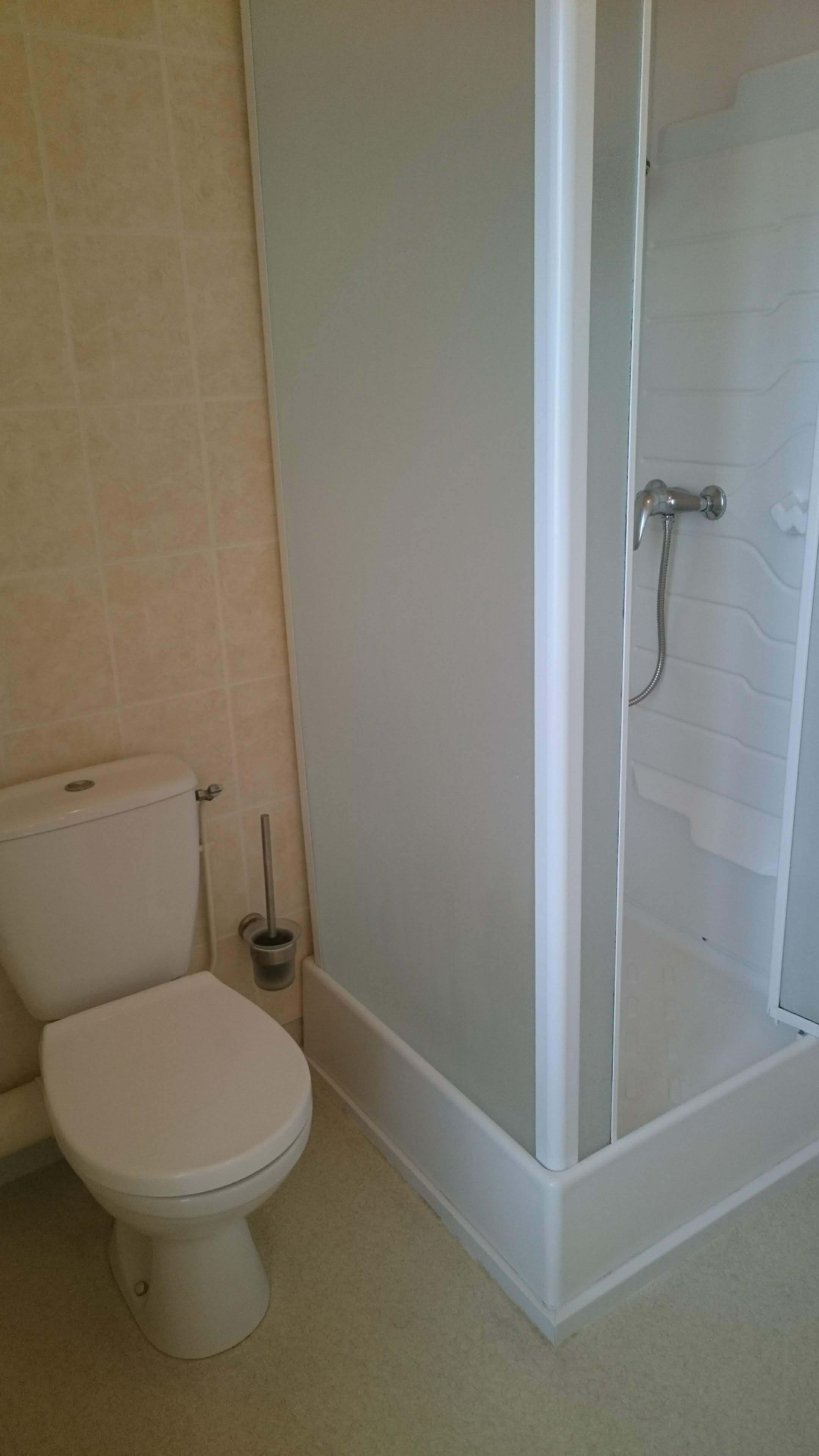 A bathroom with a toilet, a glass-enclosed shower, and a toilet brush.