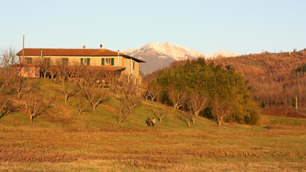 A house with a sloped roof, surrounded by a hilly landscape and a mountain in the background. - Agriturismo La Praduscella (Fivizzano)