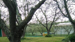 A grassy outdoor area with trees and a fenced area in the background. - Agriturismo La Praduscella (Fivizzano)