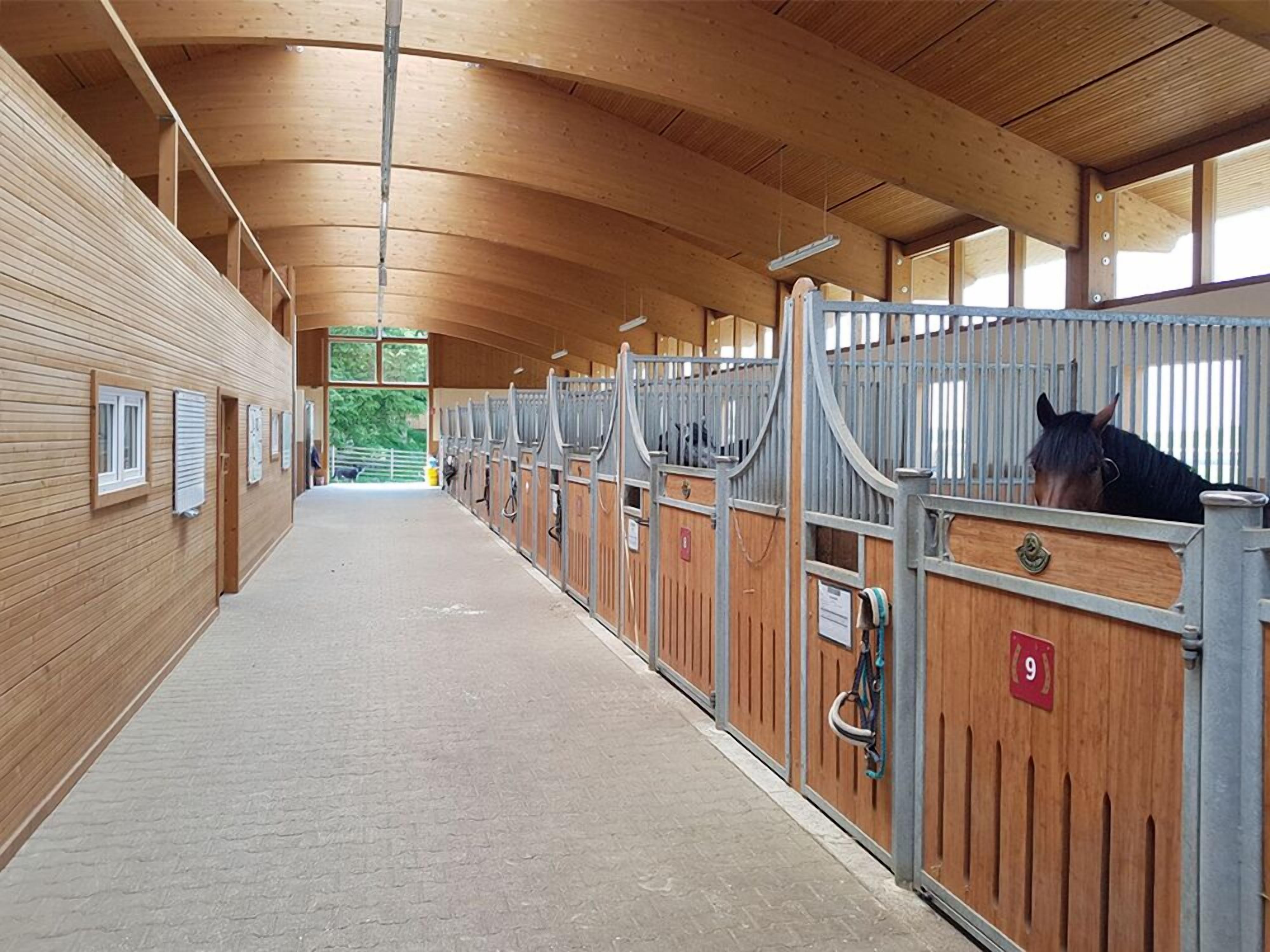 Une écurie avec des boxes en bois, une allée centrale et une vue sur l’extérieur.