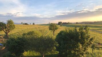 Paisaje rural con campos abiertos, árboles y una valla de madera.
