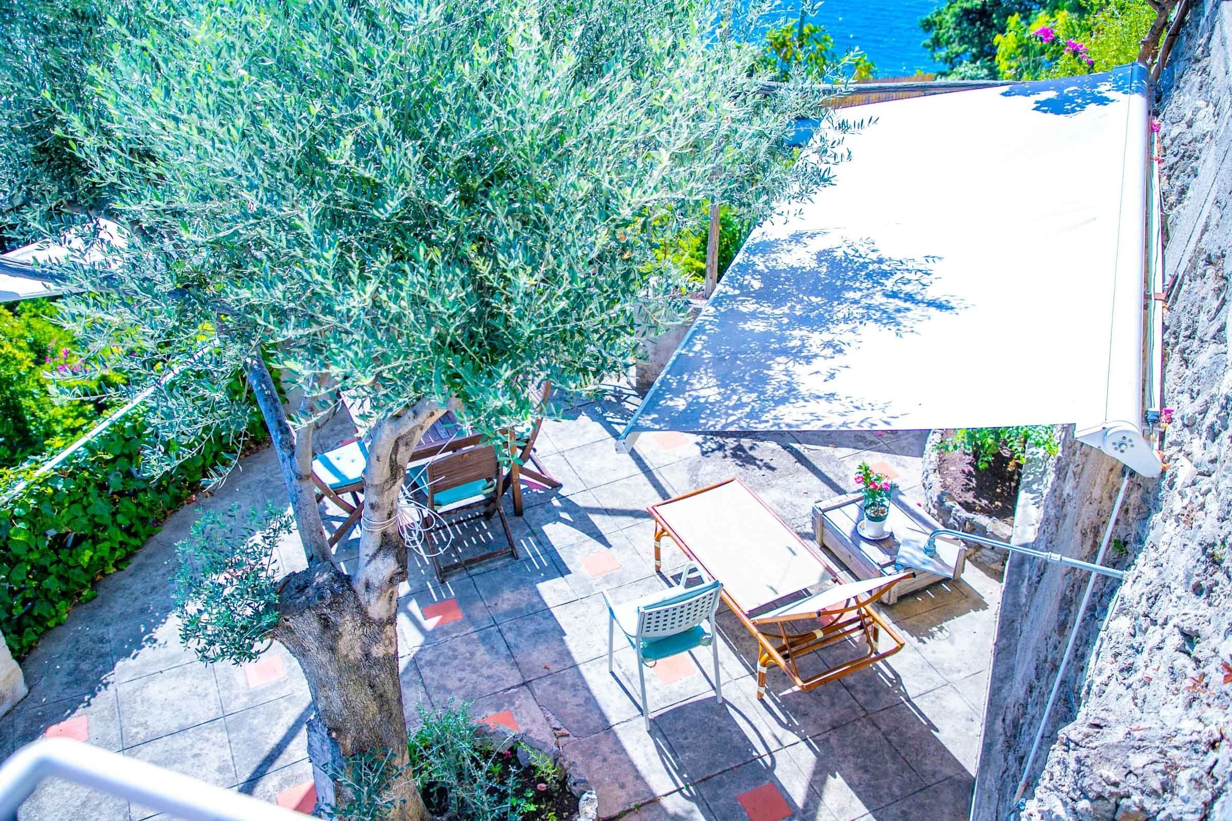 Foto - Star Fish House