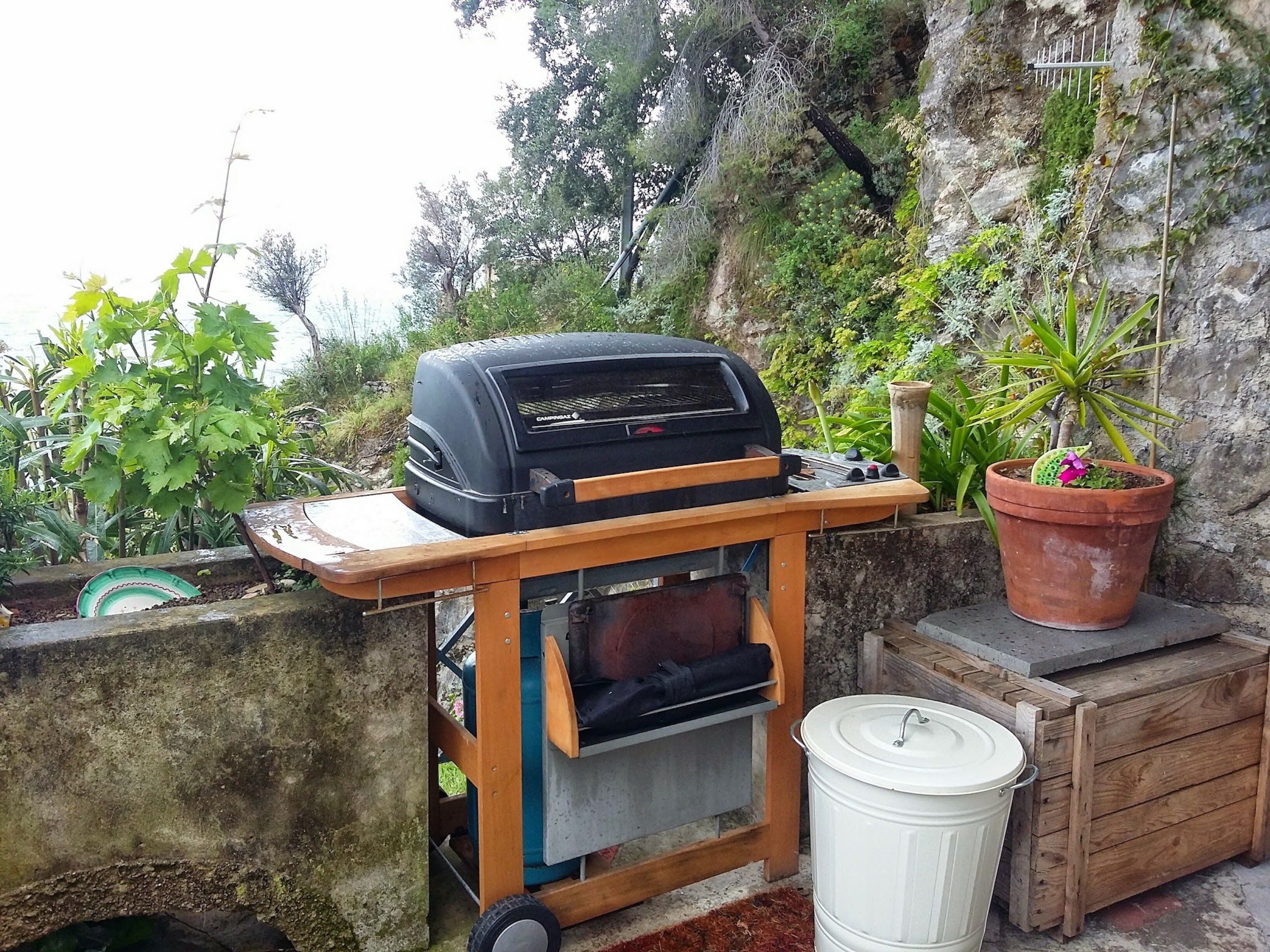 Foto - Star Fish House