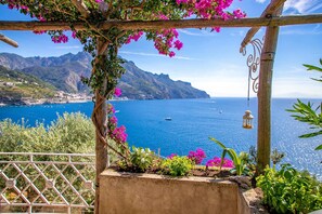 A wooden pergola with pink flowers, overlooking a coastal landscape with mountains and the sea. - Star Fish House (Ravello)