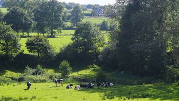 A rural landscape with a grassy field, trees, and a few cows.