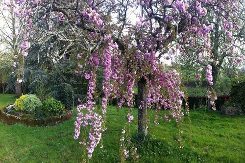 Chambres d'Hôtes La Gautraie