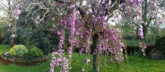 Chambres d'Hôtes La Gautraie