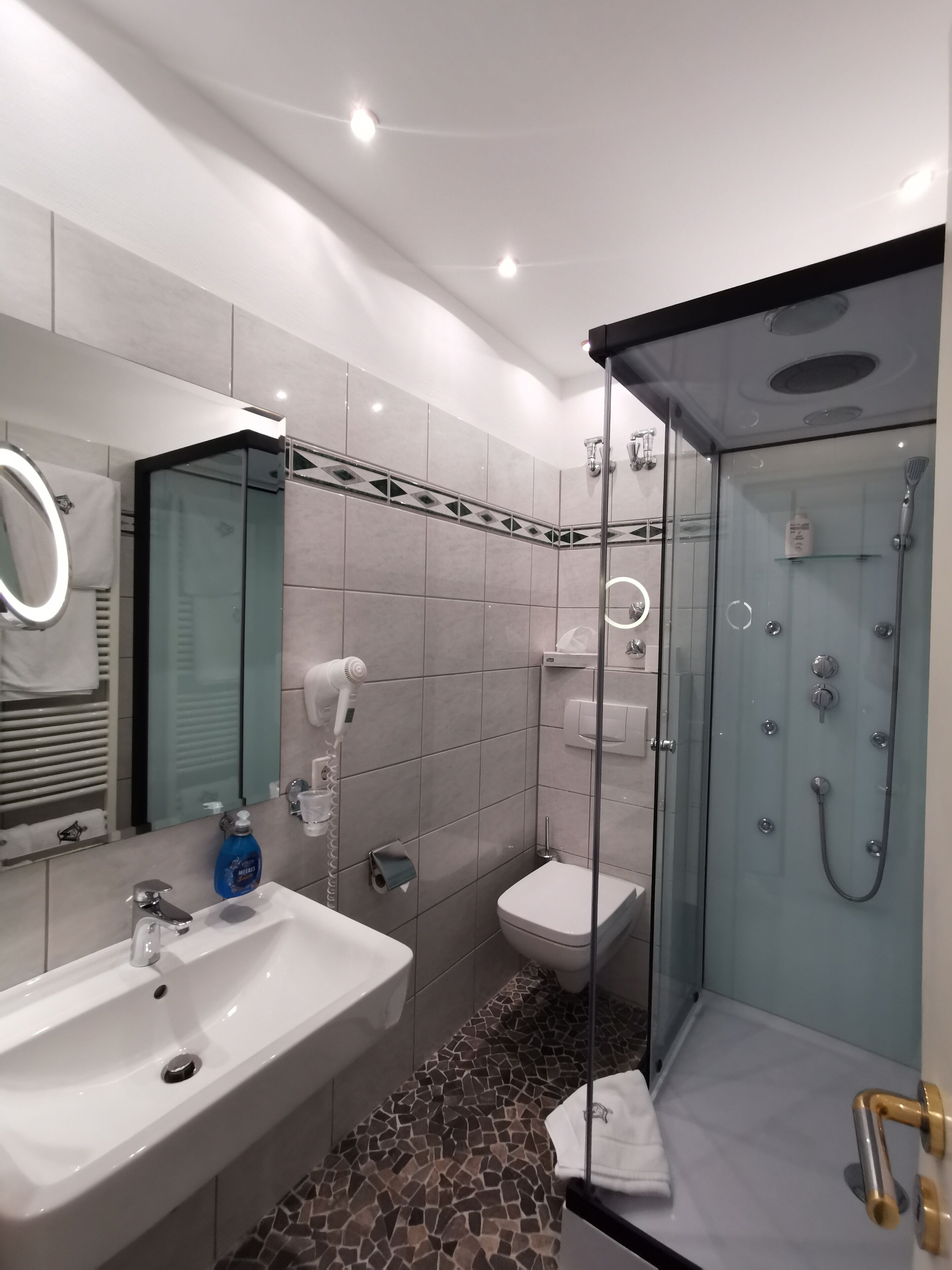 Classic Suite | Bathroom | Shower, free toiletries, hair dryer, slippers