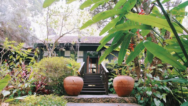 A garden with a staircase leading to a building, surrounded by various plants and large pots. - Villa Darakorn (Chiang Rai)