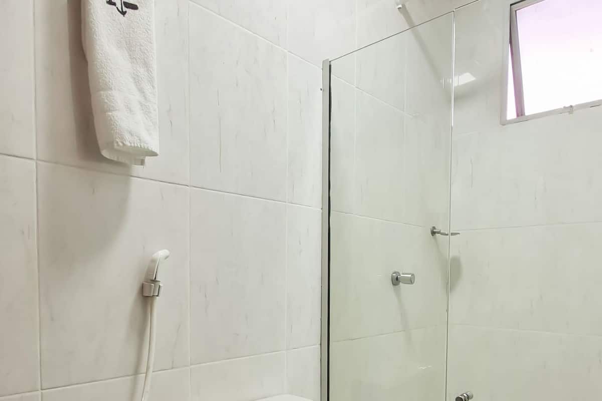 shower, free toiletries, hair dryer, towels