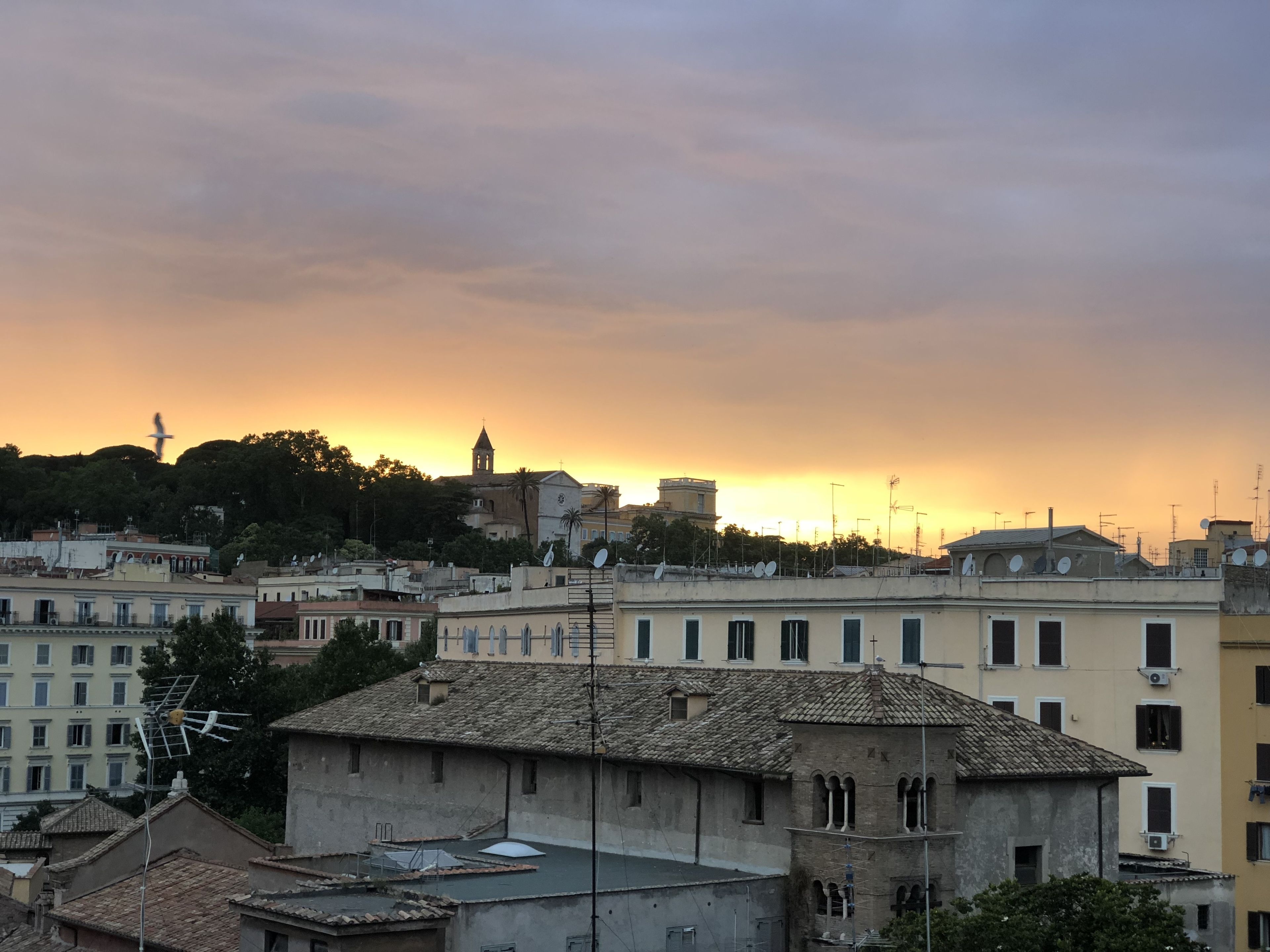 Une vue urbaine avec des bâtiments et le clocher d’une église, au coucher du soleil.