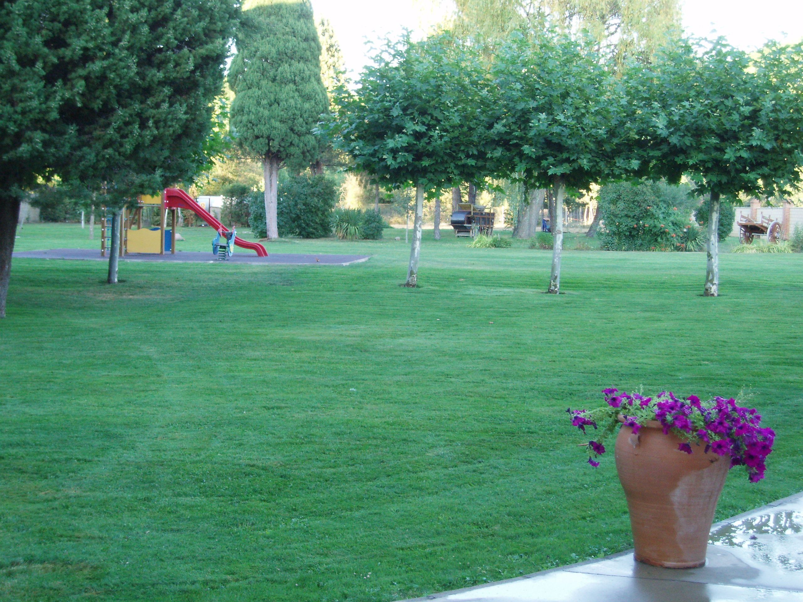 Photo - Hotel Las Moreras