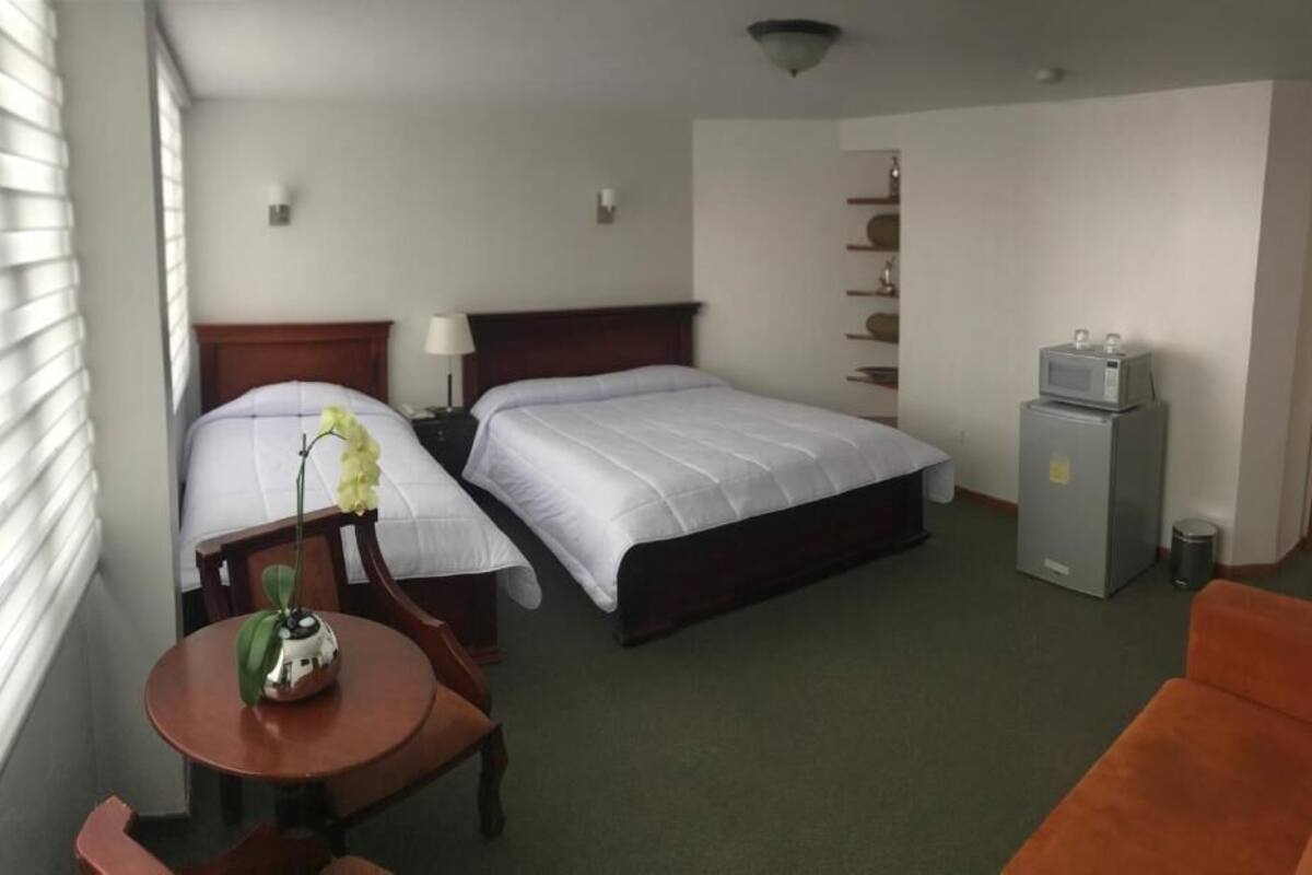 A hotel room with two beds, a small table with a plant, a microwave, and a cabinet.