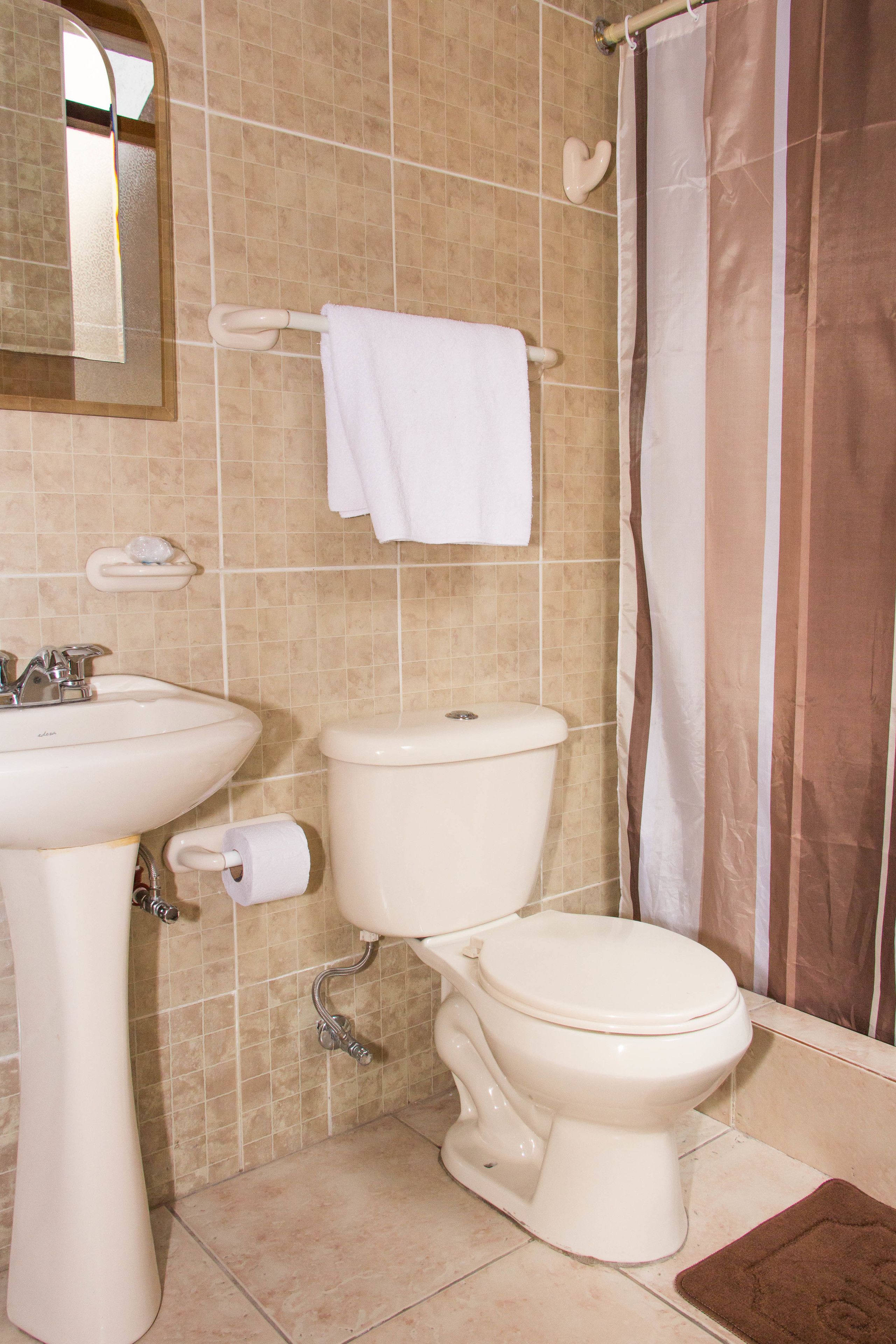 executive room | bathroom | shower, free toiletries, hair dryer, towels