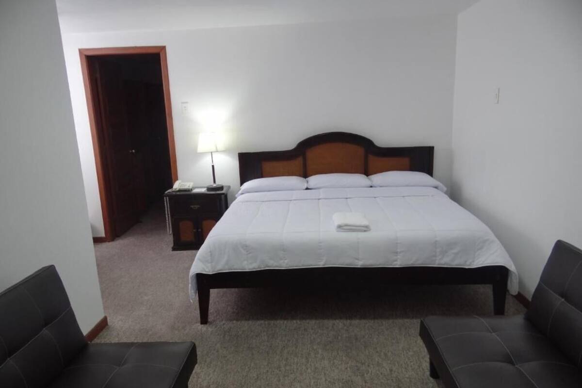 A bedroom with a bed, bedside tables, a lamp, and two sofas.