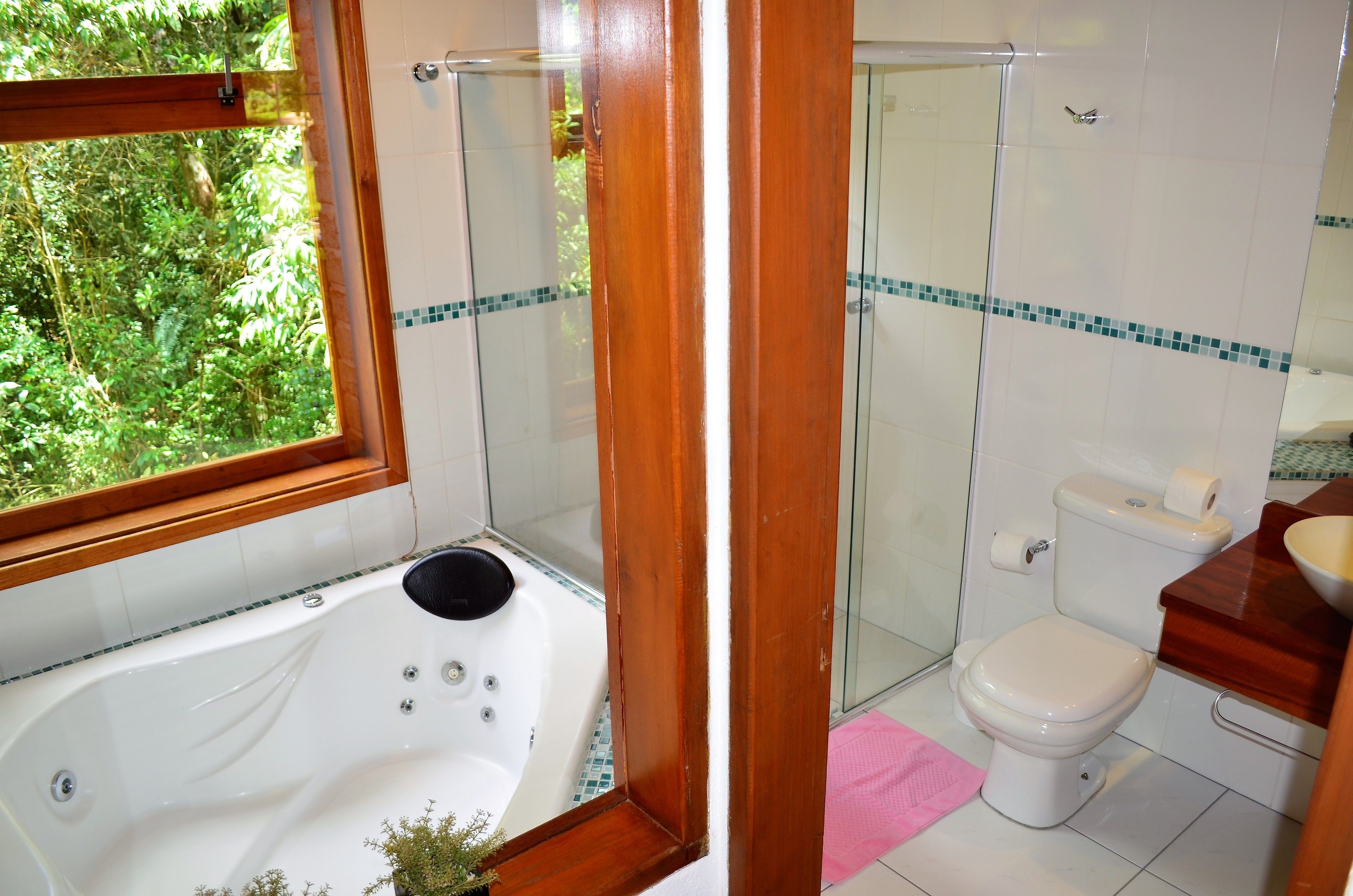 Un baño con ducha envuelta en vidrio, inodoro blanco, tocador de madera y bañera con vista a la vegetación a través de una ventana.