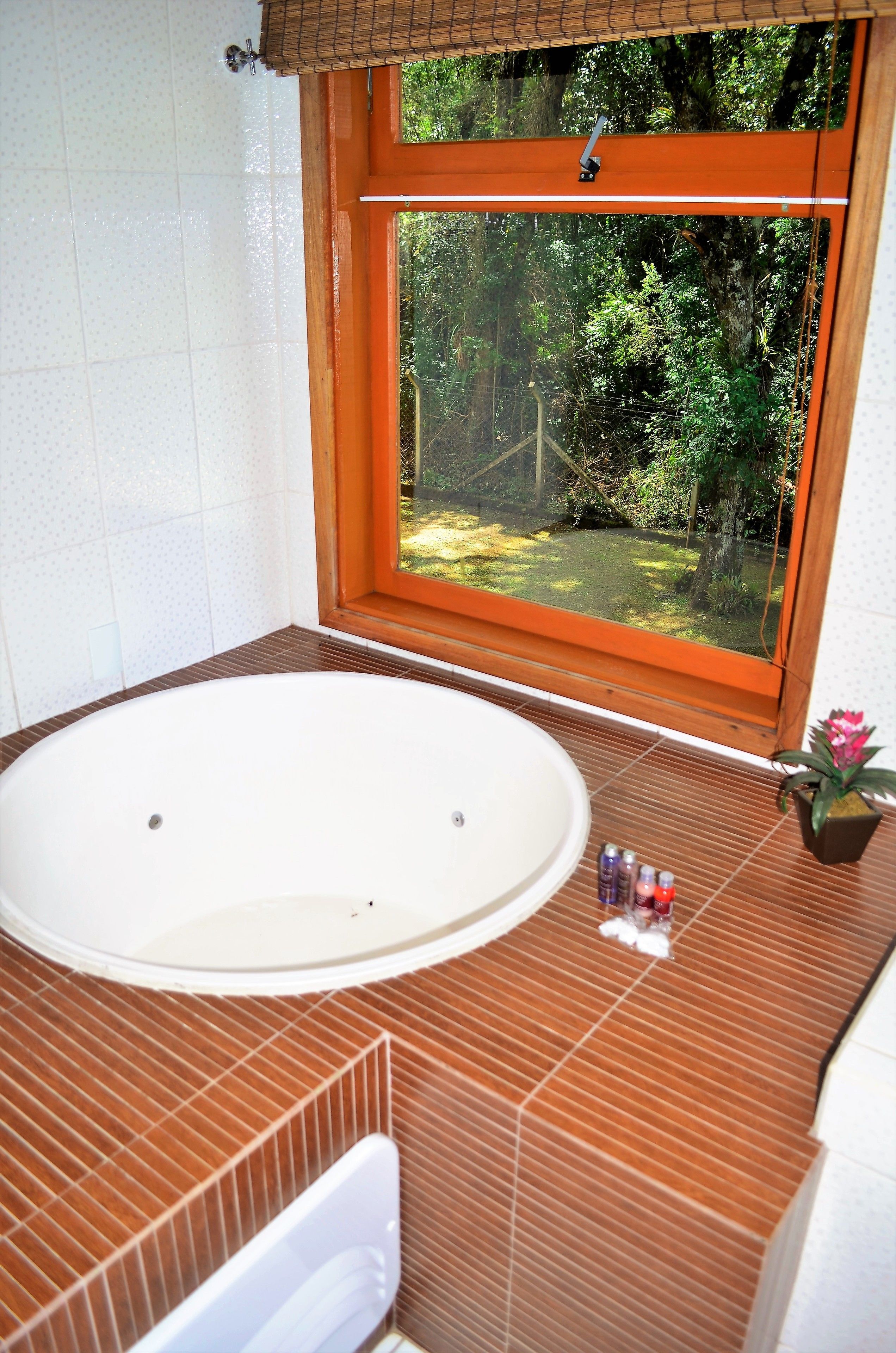 Une salle de bain avec une grande baignoire, une fenêtre donnant sur un jardin et une petite plante en pot posée sur le comptoir.