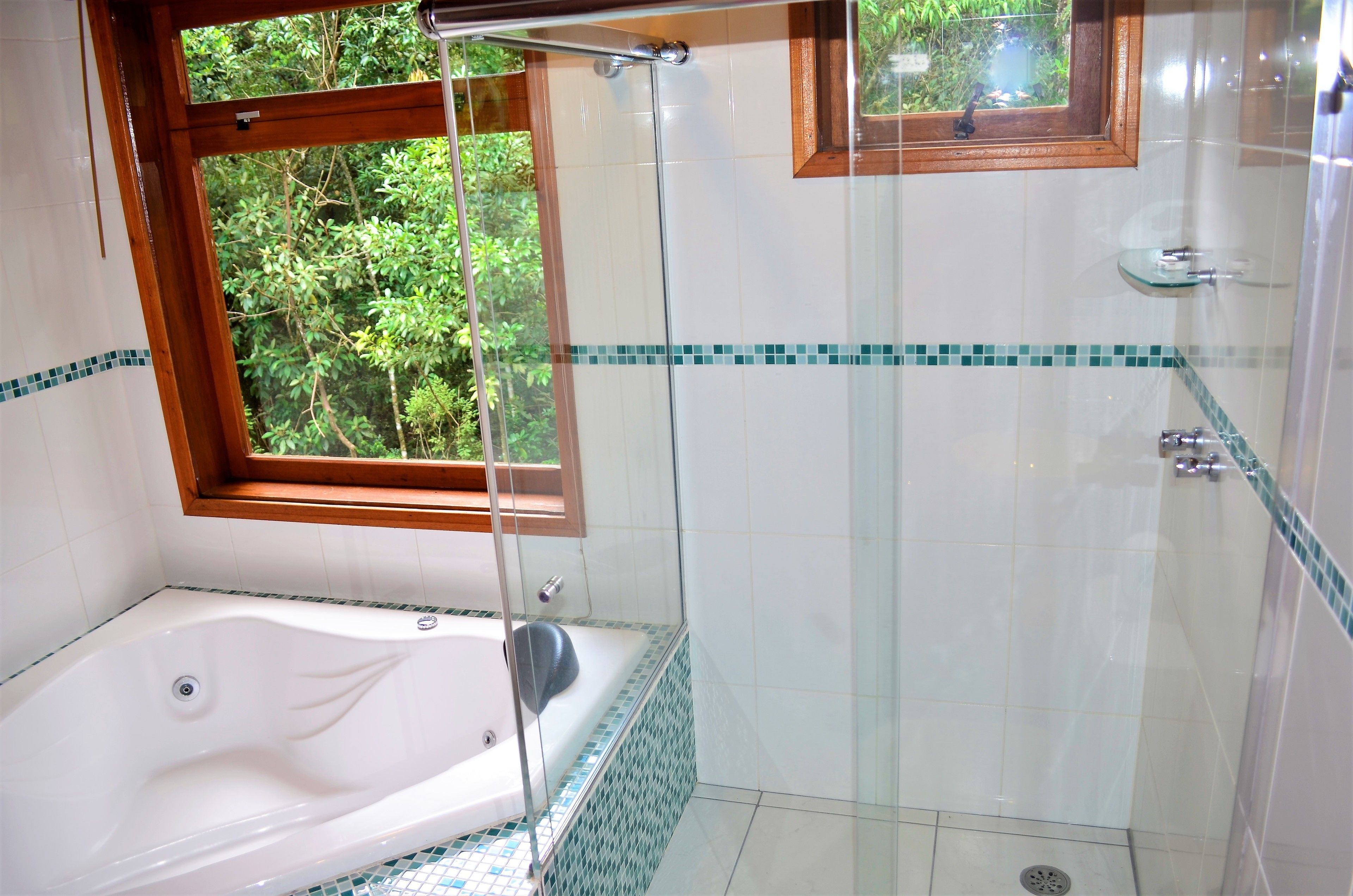 Un baño con ducha de vidrio, bañera y ventana con vista a la vegetación.