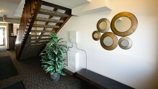 A staircase with wooden railings, a potted plant, and wall-mounted mirrors. - The Sleepy Owl (Fort Frances)