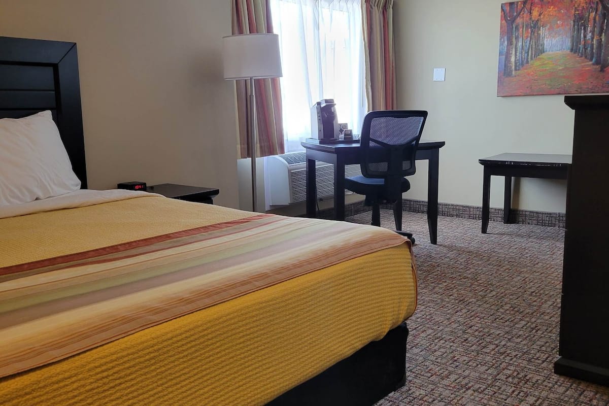 business suite | view from room
