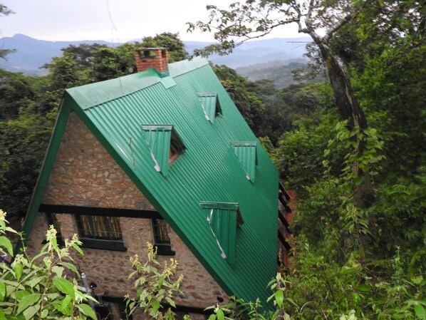 A stone building with a green metal roof and multiple windows.