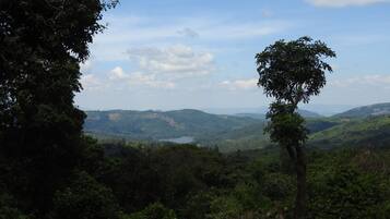 A landscape with dense greenery and a prominent tree in the foreground.
