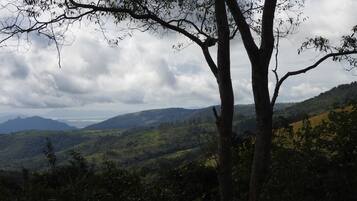 A landscape with a prominent tree in the foreground, a hilly terrain, and a cloudy sky.