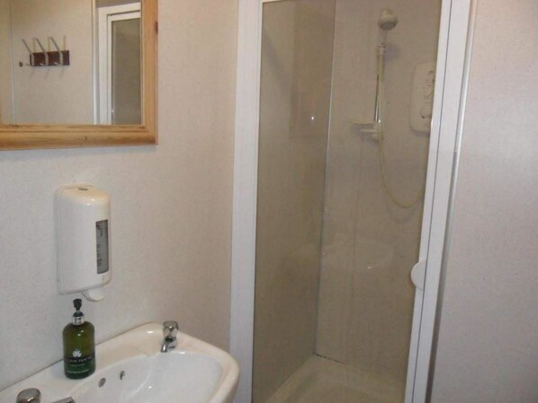 Baño con lavabo, espejo y ducha con mampara de vidrio.