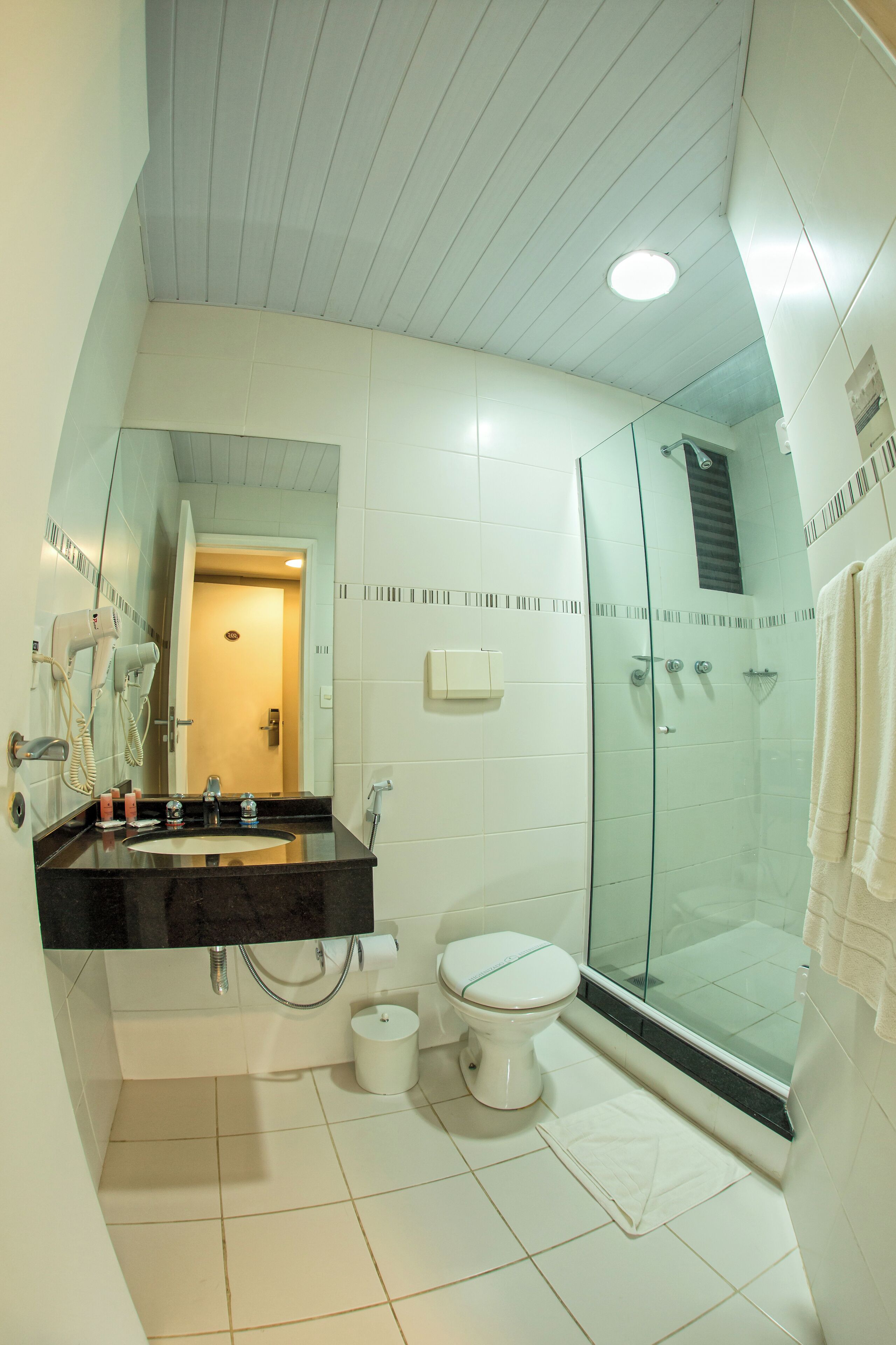 Et moderne badeværelse med en glasafskærmet brusekabine, et hvidt toilet og en sort vask.