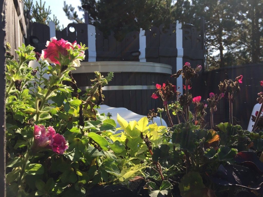 Um jardim com diversas plantas e flores, uma cerca de madeira e um edifício ao fundo.