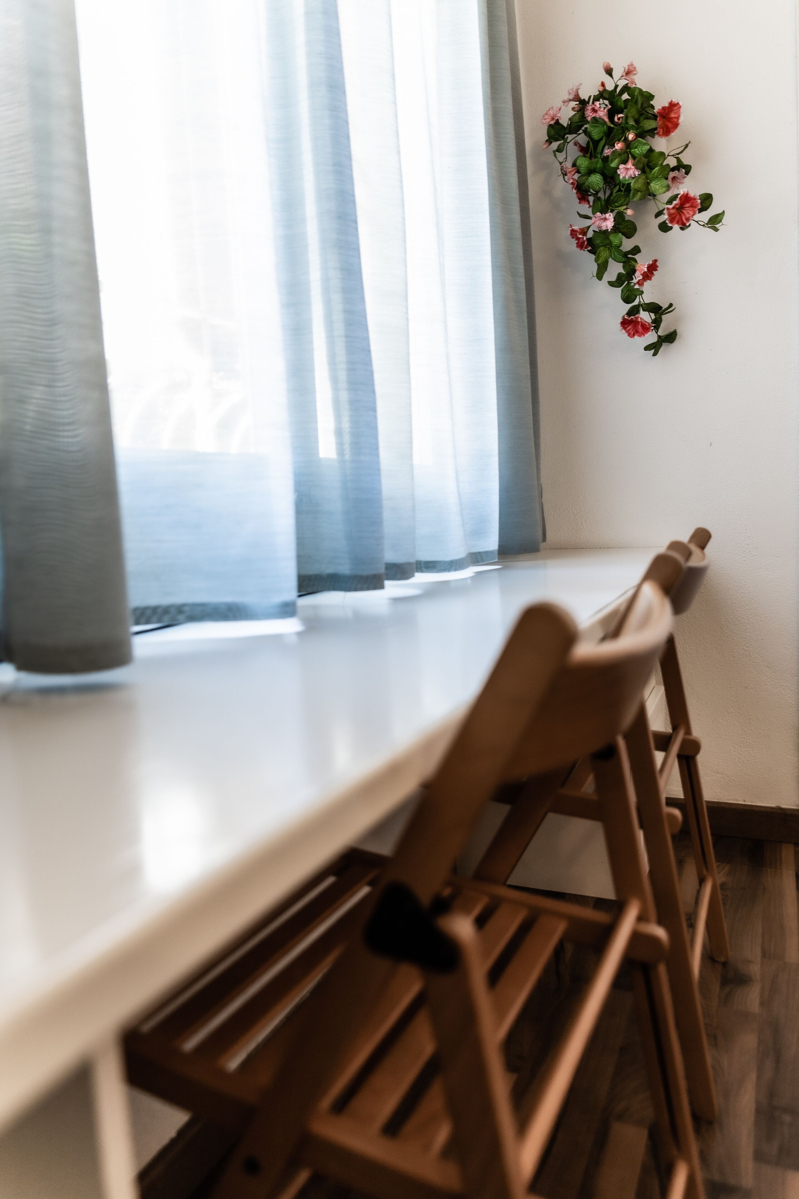 Foto - Fonda Can Dalfo