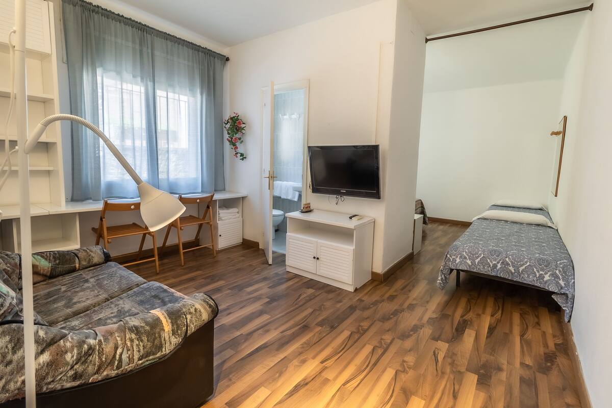 Ein gemütlicher Raum mit Schlafsofa, Fernseher, Schreibtisch und Bett.