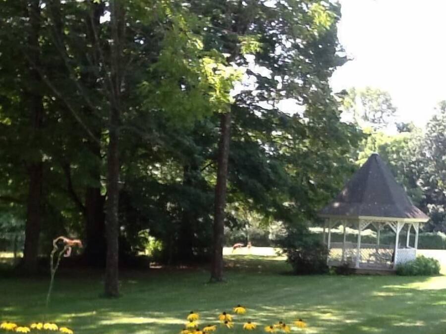 A garden with a gazebo, stone wall, and yellow flowers.
