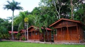 Hypo-allergenic bedding, down comforters, memory foam beds