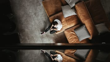 En vy över ett rum från ovan, med en brun lädersoffa, två gråa kuddar med mönster och en person som sitter i soffan.