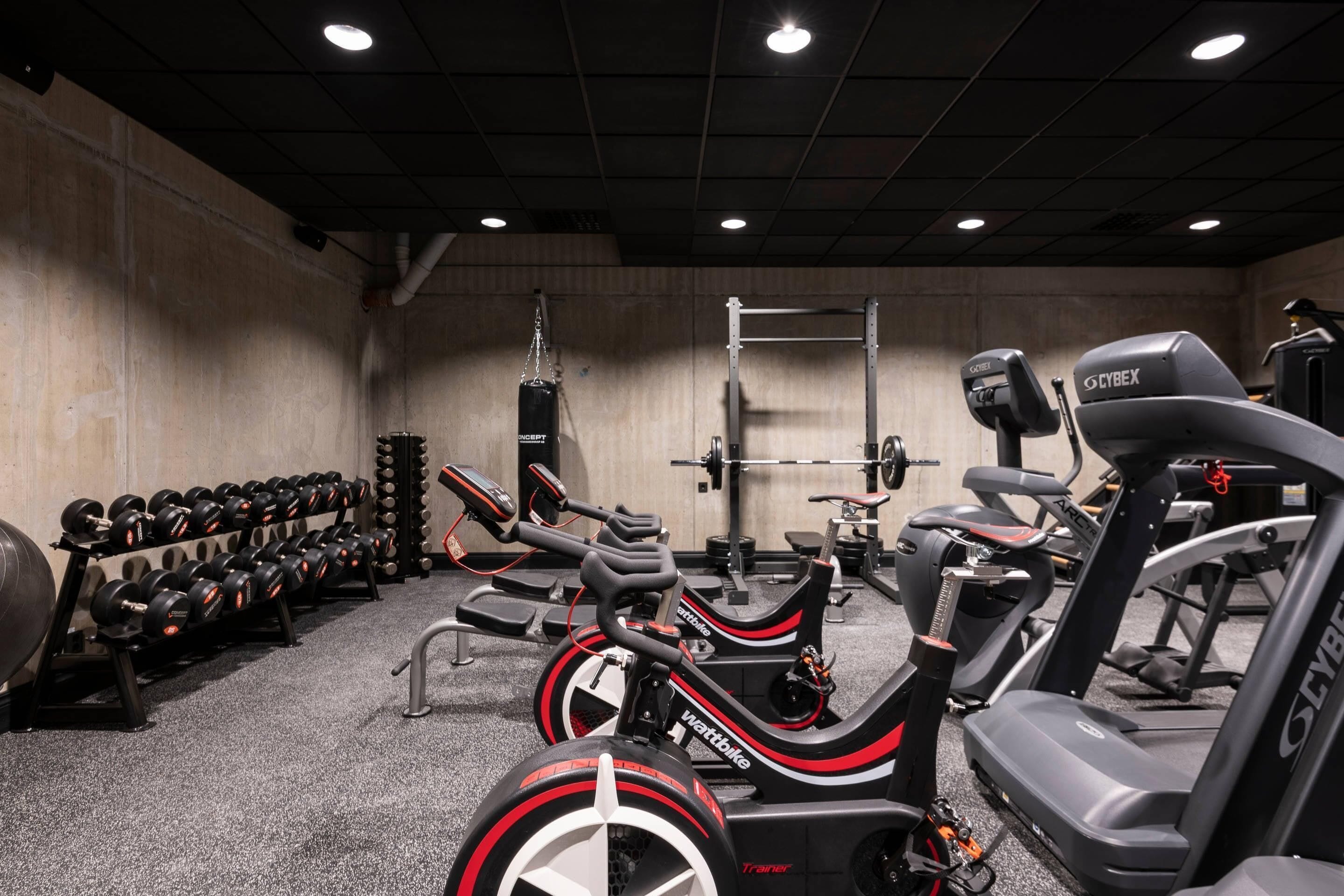 Ein Fitnessstudio mit Laufbändern, Kraftgeräten und einer Hantelbank.