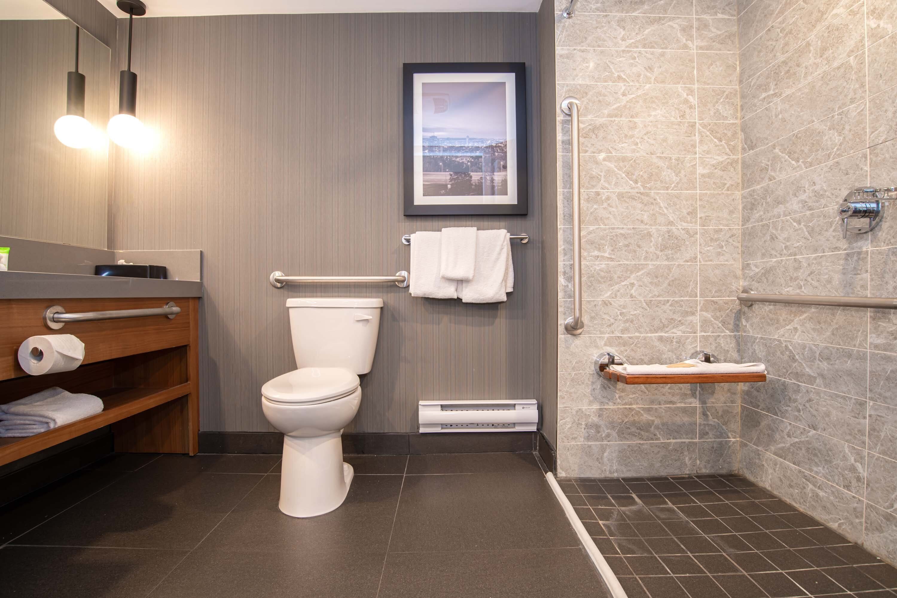 Une salle de bain moderne équipée de toilettes, d’une douche, d’un porte-serviettes et d’un tableau encadré au mur.