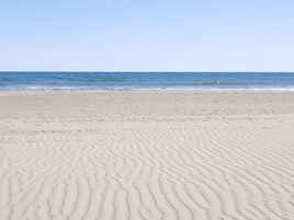Ubicación cercana a la playa, tumbonas, sombrillas y bar en la playa