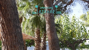 A tree-lined pathway with a palm tree and a sign that reads "camping AZAHAR". - Camping Azahar (Benicassim)