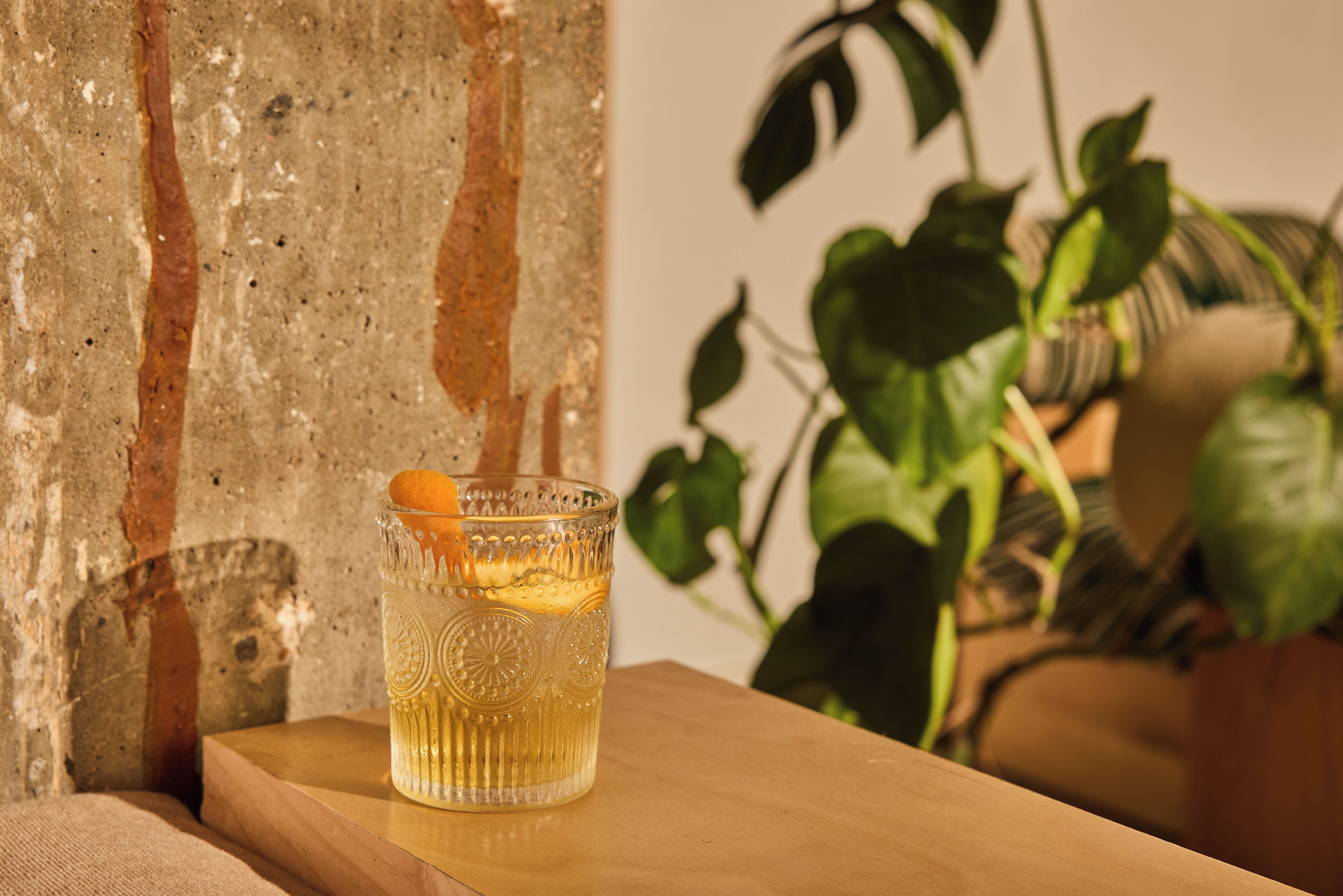 Ein Glas mit Zitronenscheibe auf einer Holzfläche, eine Betonwand und eine Topfpflanze im Hintergrund.
