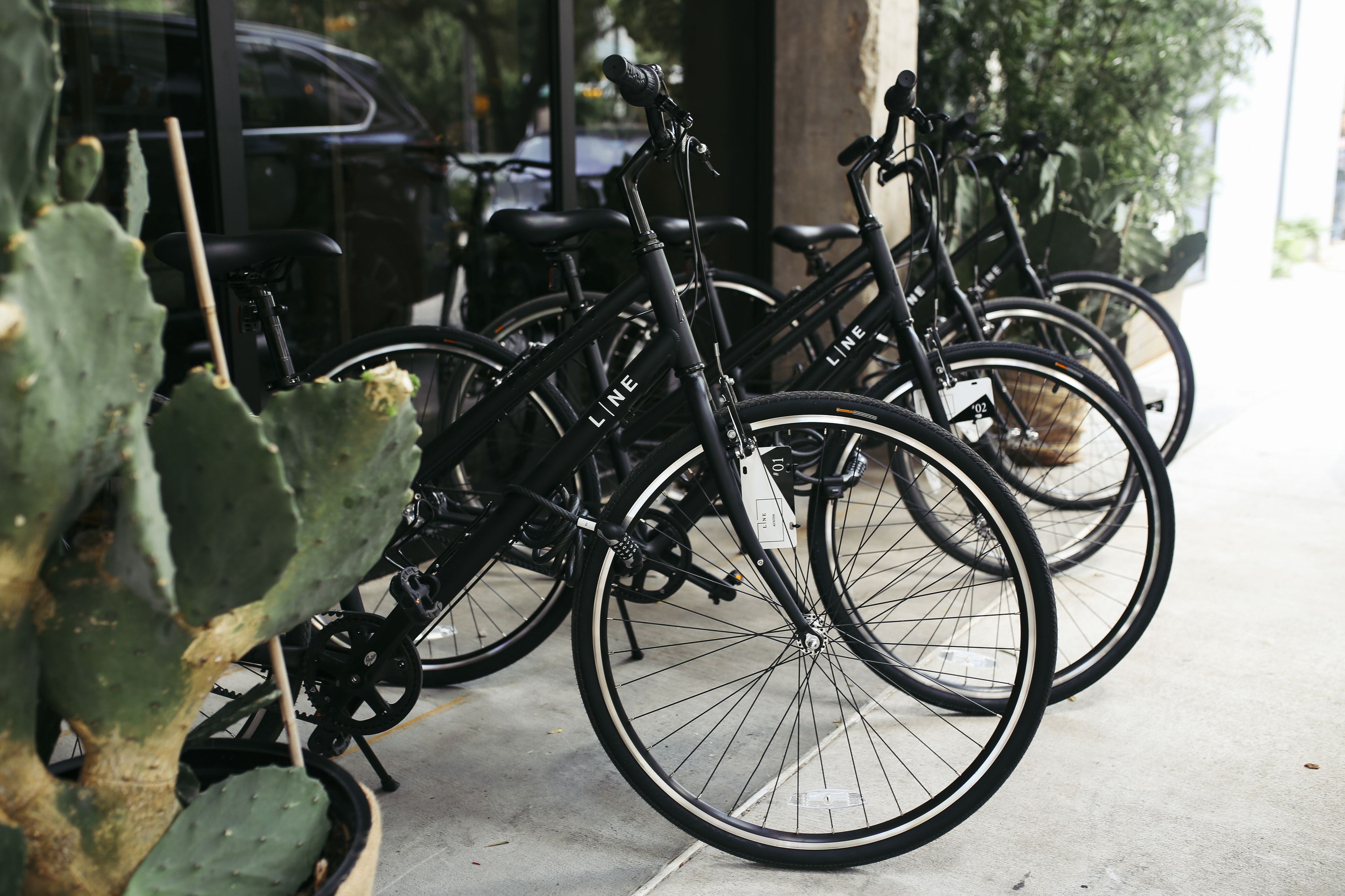 Photo - The LINE Austin