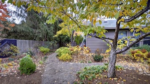 A garden with a variety of plants and a tree in the foreground. - The East End Retreat (Boise)