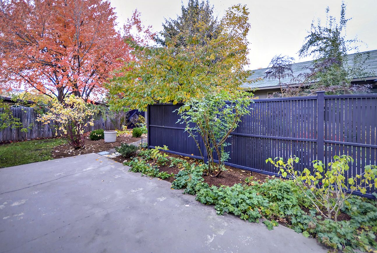 A residential backyard with a concrete pathway, a wooden fence, and various plants and trees.
