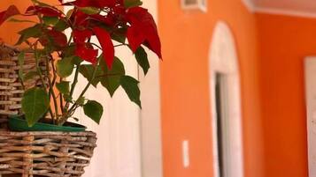Una cesta colgante con follaje rojo frente a una pared naranja.