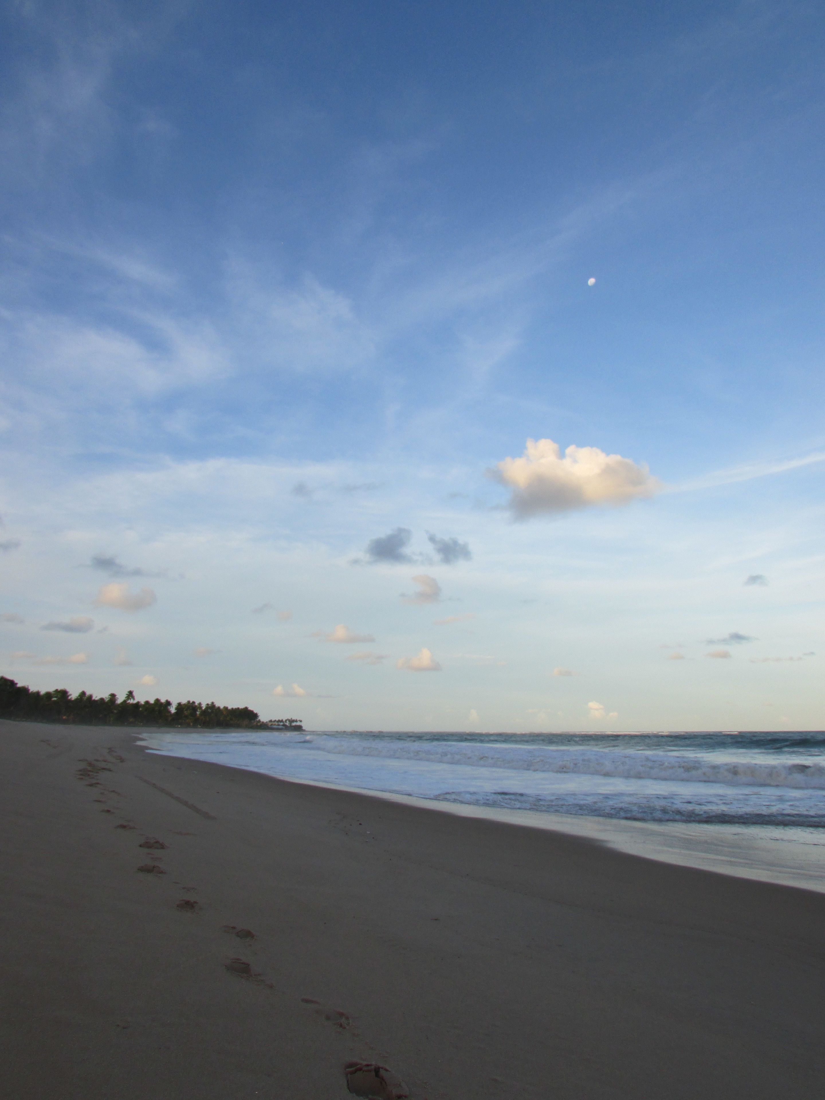 A beach with footprints leading to the water, a clear sky, and a crescent moon.