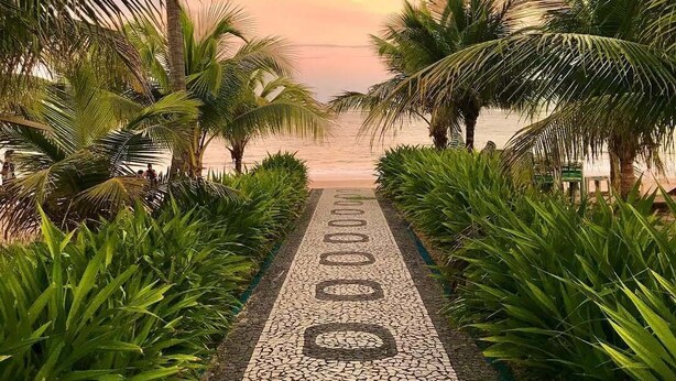 Een pad omzoomd met palmbomen dat naar een strand leidt.