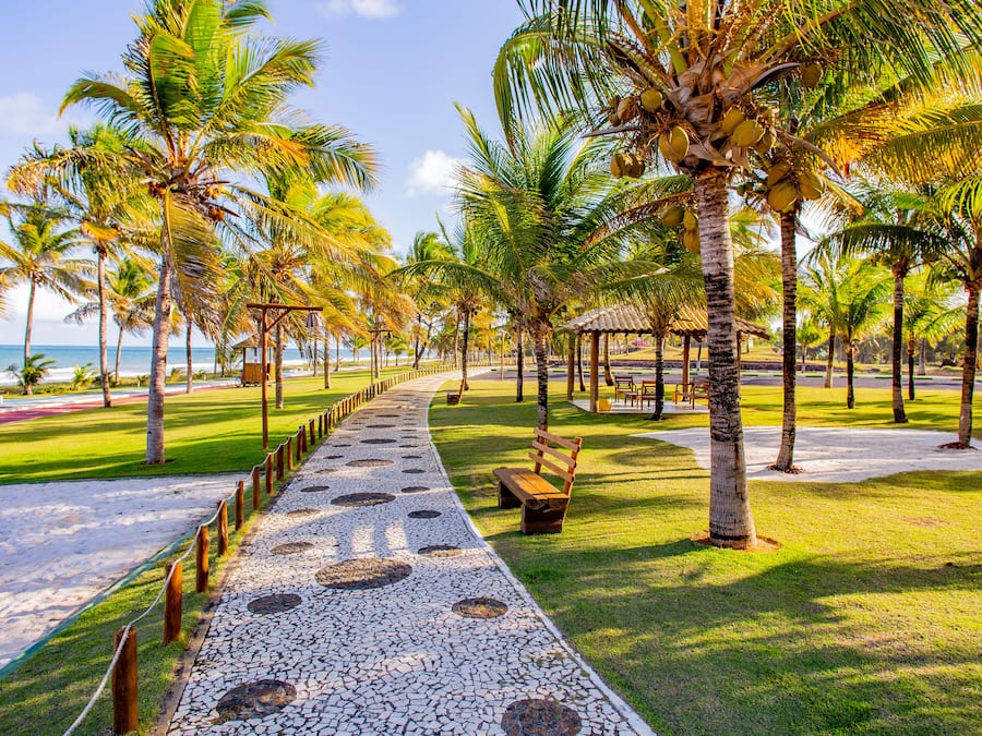 Actividades para niños