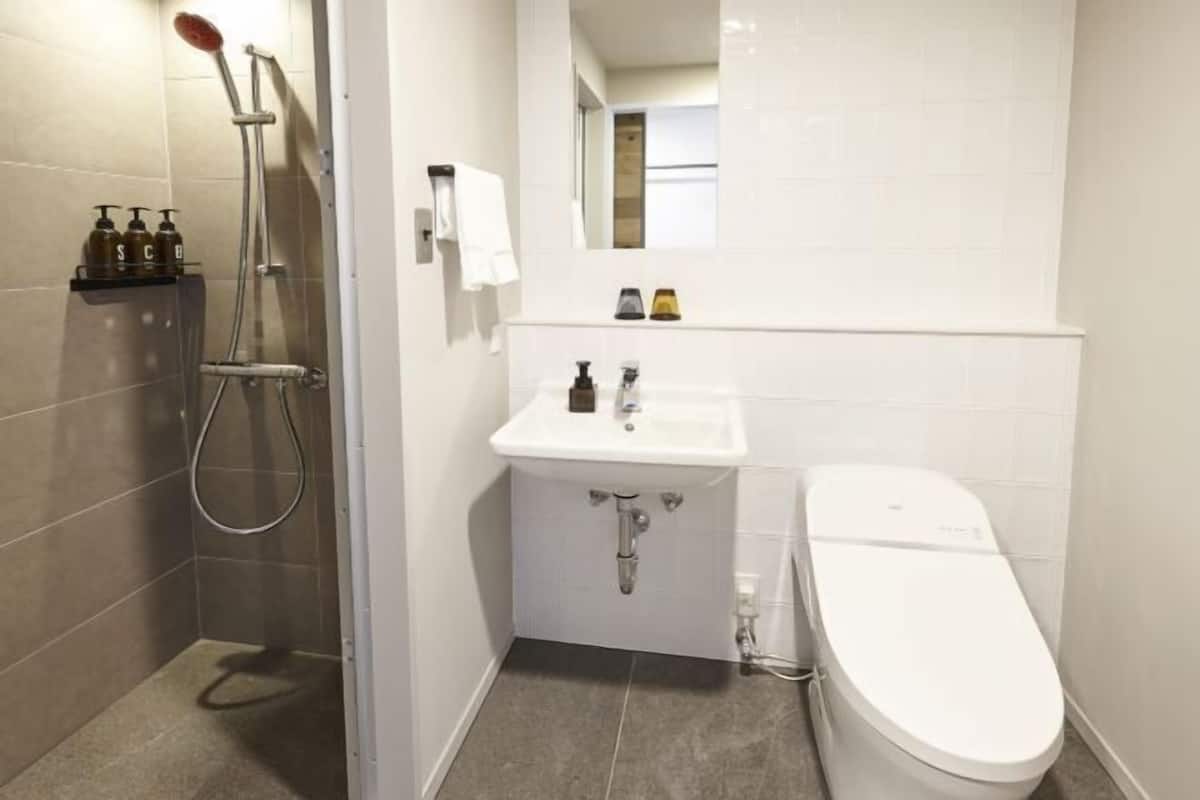 Hair dryer, slippers, bidet, towels