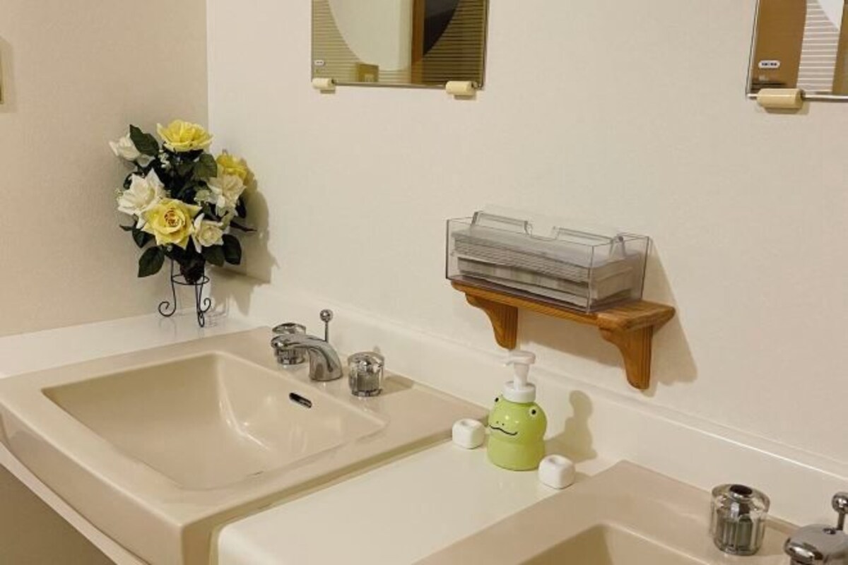 Salle de bain | Articles de toilette (gratuits), séchoir à cheveux, serviettes fournies