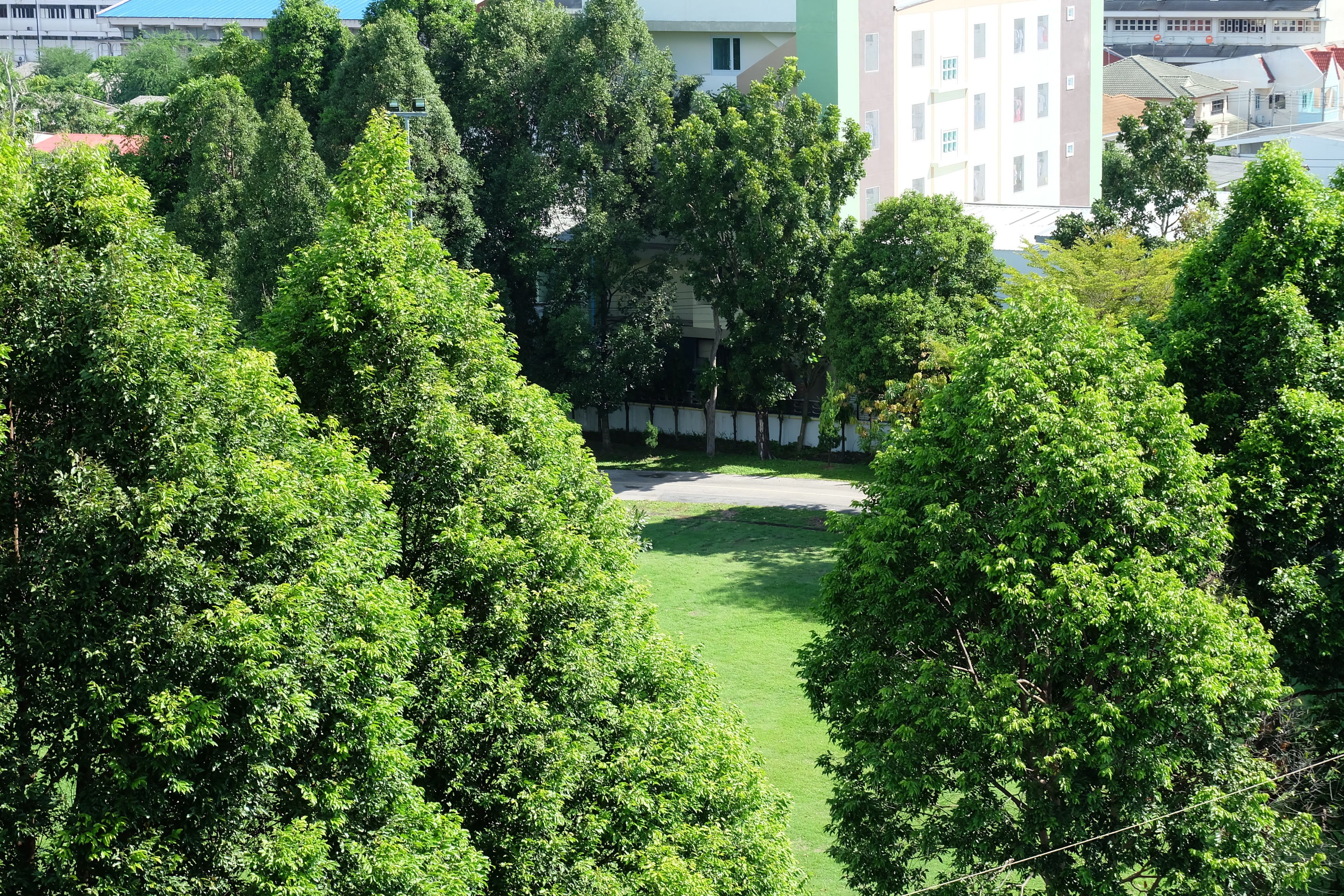 frette italian sheets, premium bedding, down duvets, tempur-pedic beds